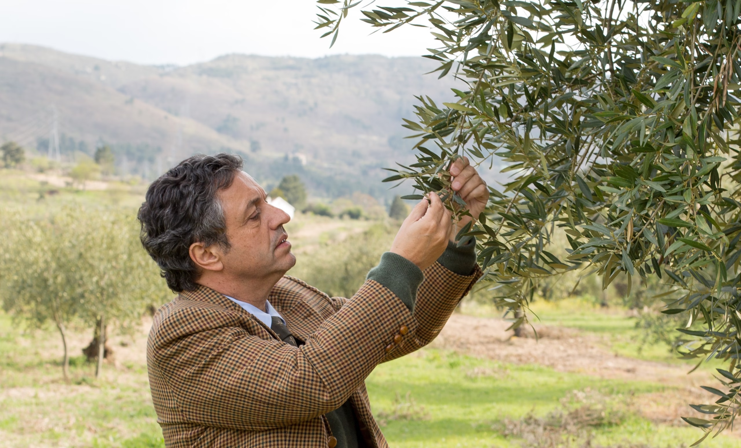 Entrevista: Tiago Mendonça – propietario del aceite de oliva ETHOS