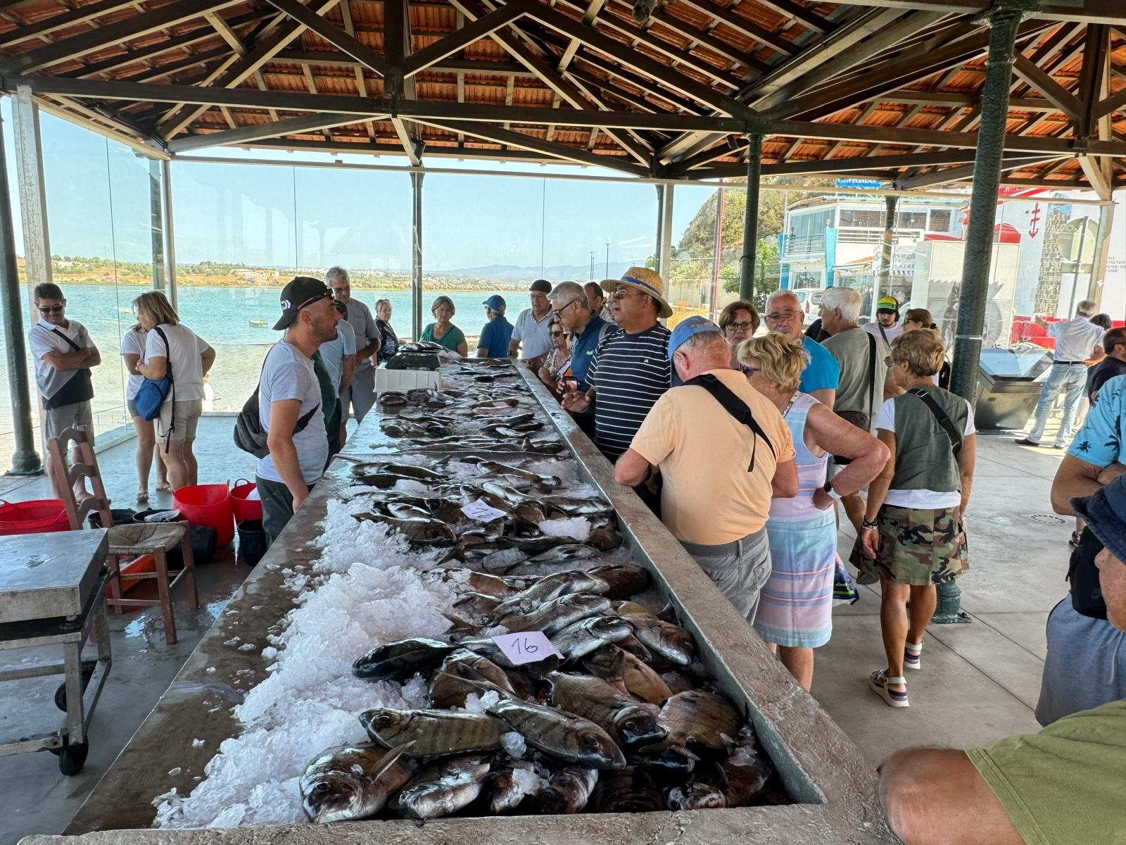 Alvor celebra la Giornata Nazionale del Pescatore con il “Mercato del Pesce Fresco”