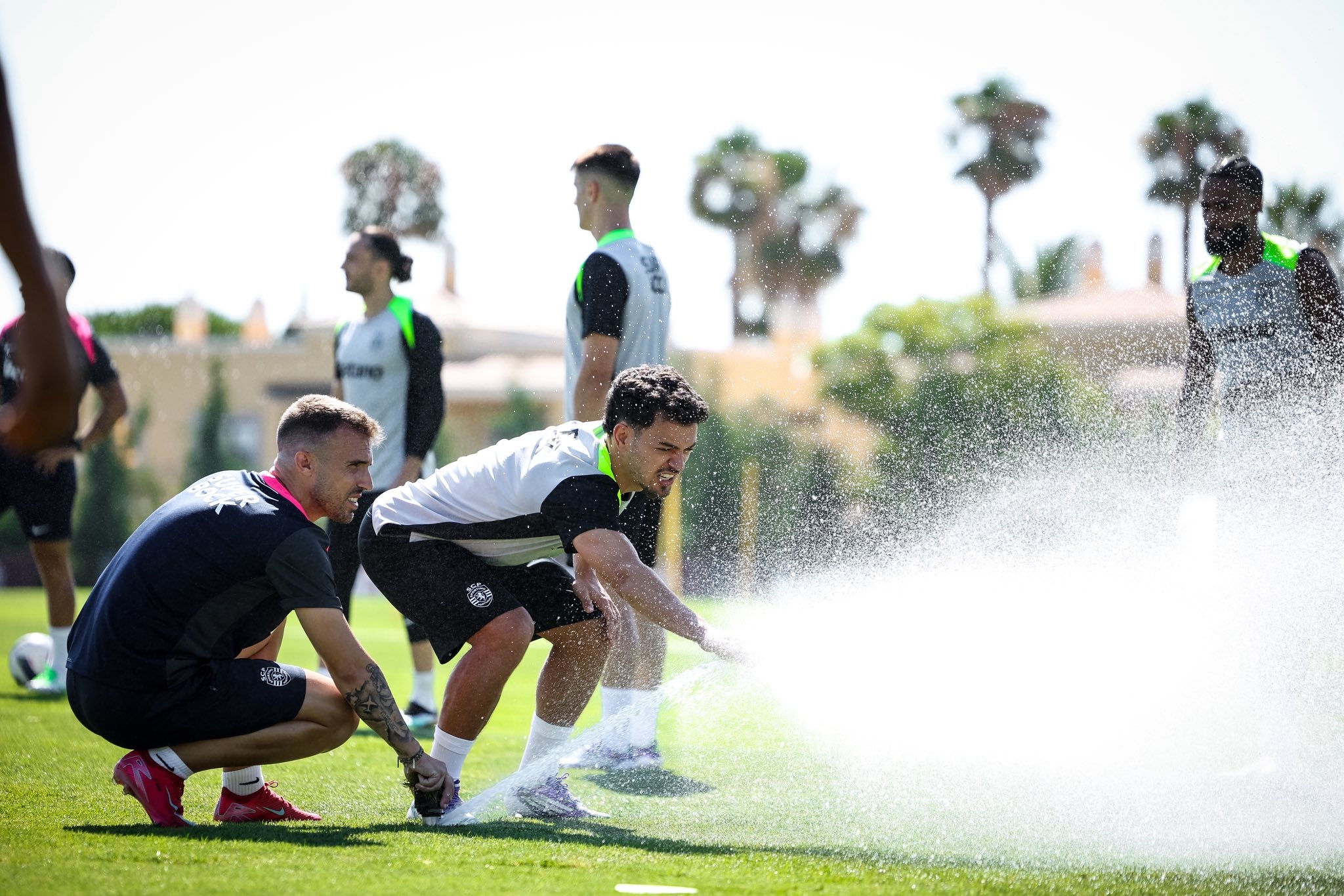 Pedro Gonçalves y Esgaio, ausentes del segundo entrenamiento del Sporting en Lagos