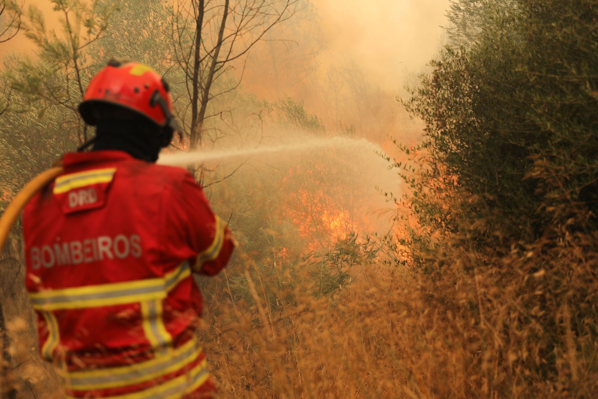 Algarve at maximum risk of rural fires