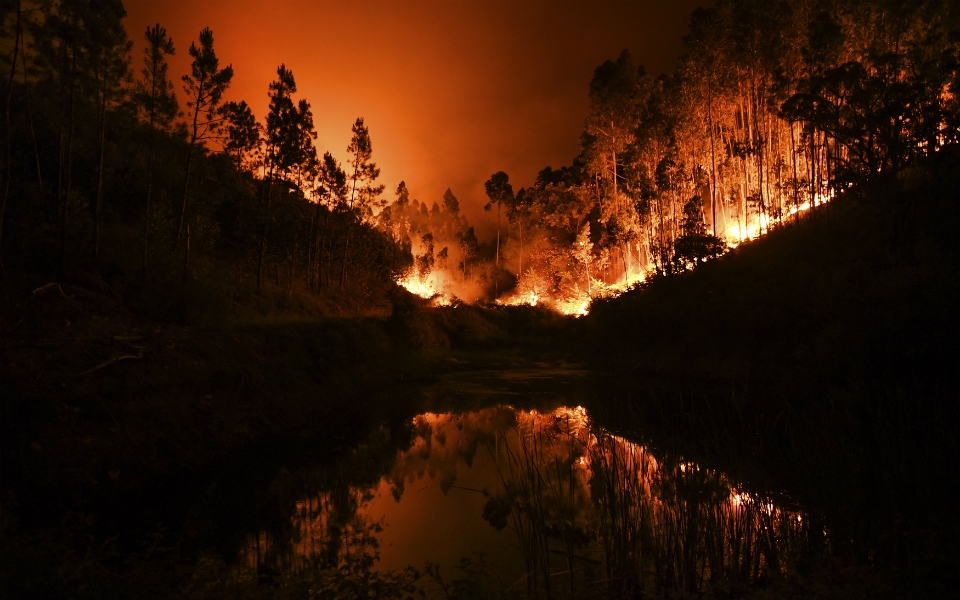 Chaleur extrême et incendies. Le Portugal en état d'alerte jusqu'à jeudi.