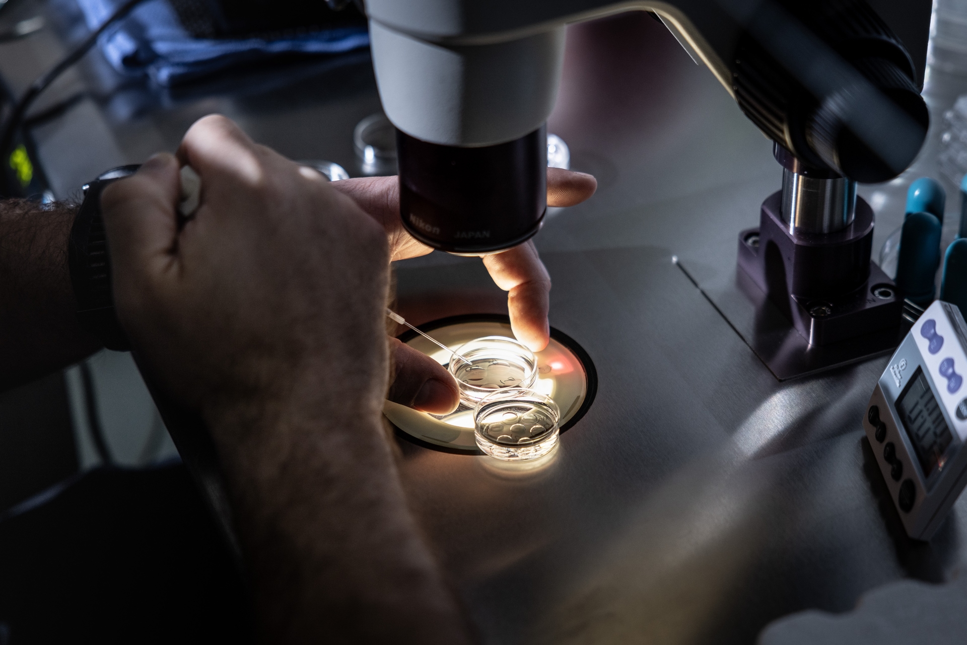 La tanto decantata legge sulla fecondazione in vitro della California potrebbe essere posticipata al 2026, lasciando molti nel caos