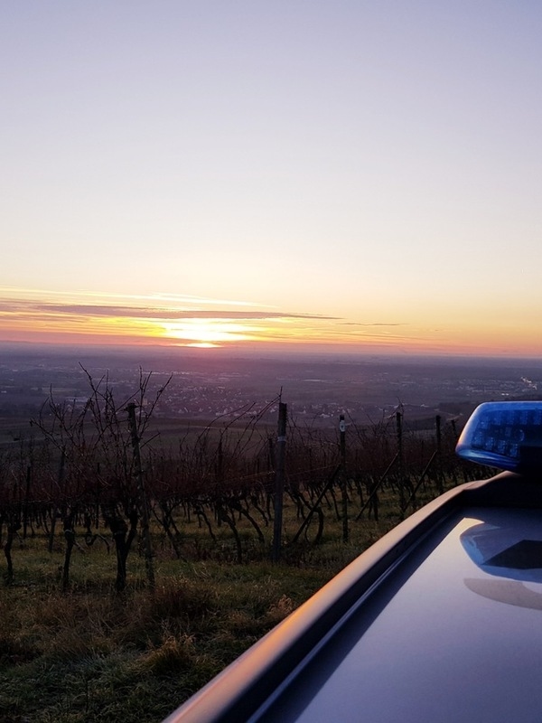 Carlsberg - During the night of Friday, May 23, 2025, to Saturday, May 24, 2025, there was a break-in in the basement of a property on Unterer Kurweg in Carlsberg.