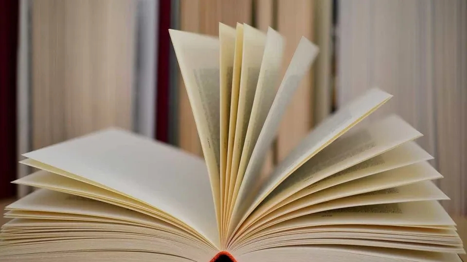 Livro 'Pedro Alecrim', de António Mota, traduzido para língua mirandesa