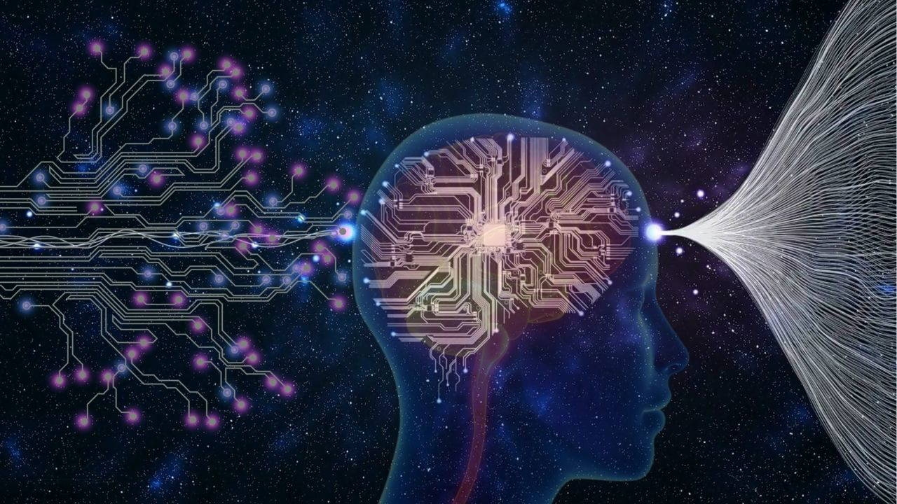 Es stellt sich heraus, dass die Gehirne von Psychopathen sehr unterschiedlich sind.