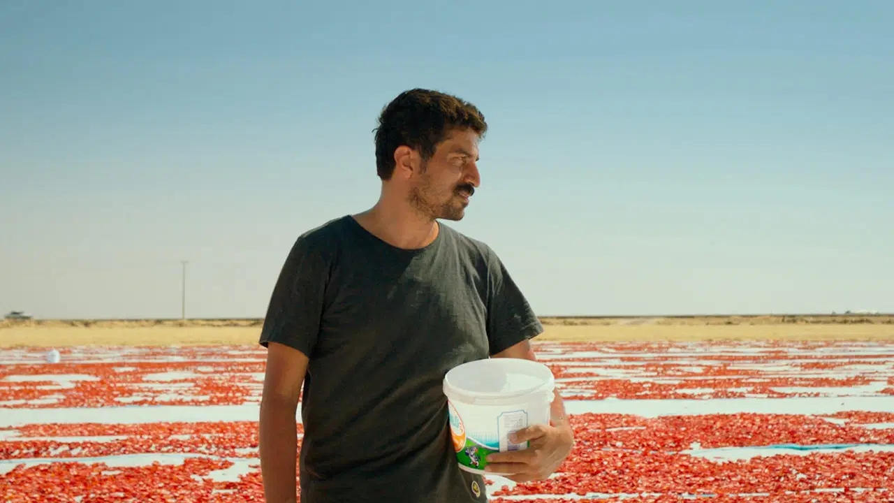 Türkiye's Oscar nominee has been announced!