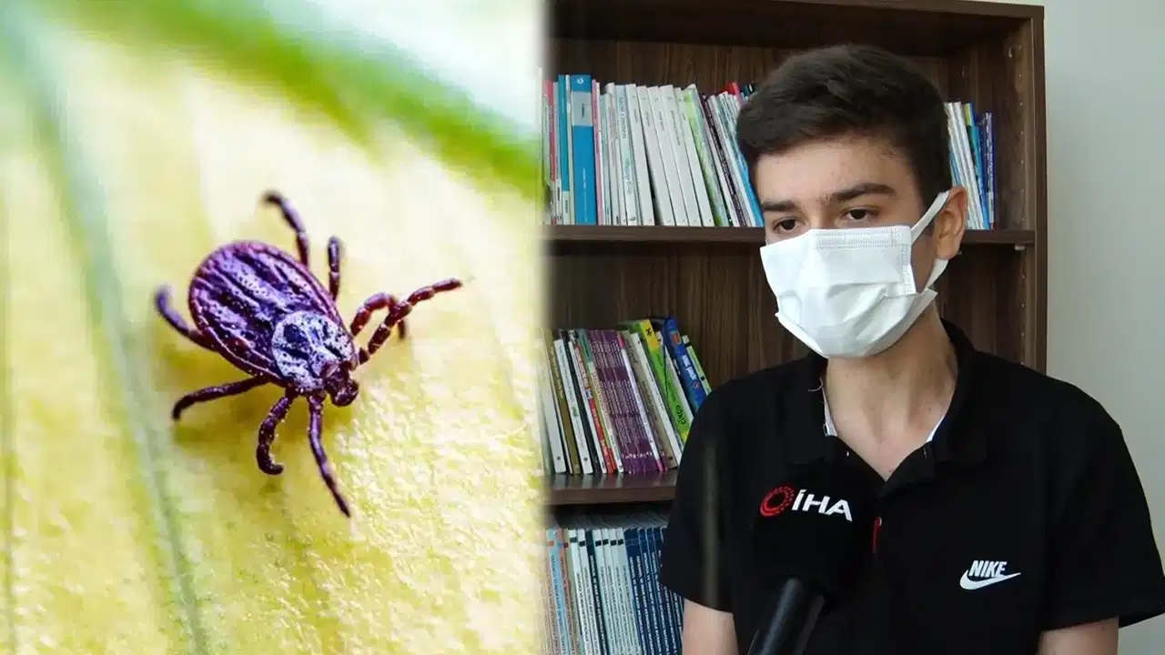 He removed the tick with his bare hands: He lived his nightmare!