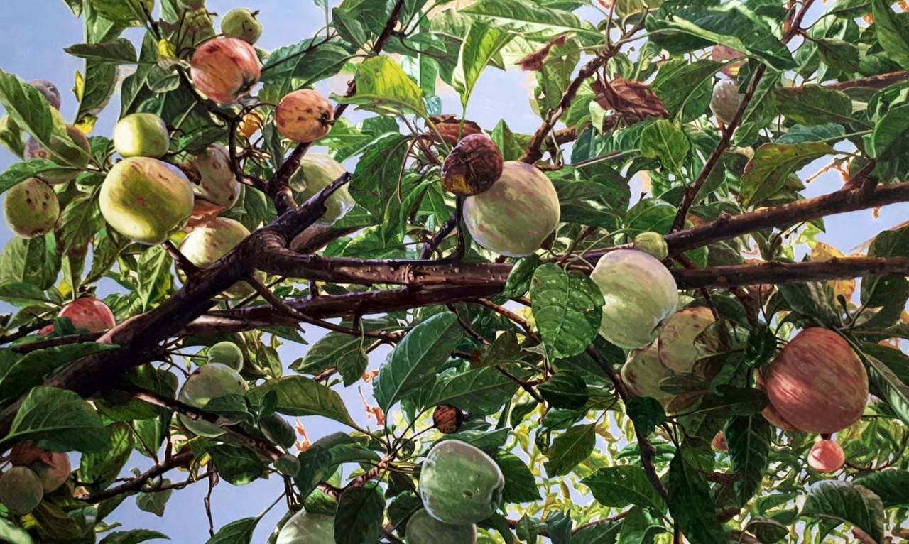 Eine Ausstellung von Mustafa Orkun Müftüoğlu über die Spur der Zeit: „Apple Branch“ in seinen letzten Tagen