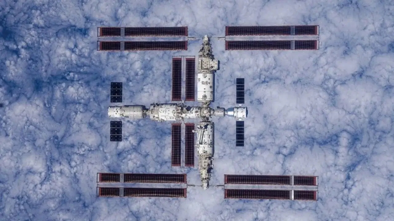 China gibt die Entdeckung neuer, noch nie zuvor gesehener Bakterien bekannt