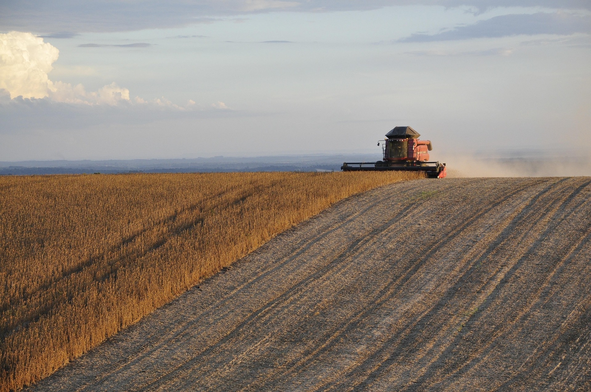 Agricoltura nel mirino: la guerra tra Israele e Iran colpisce la produzione brasiliana