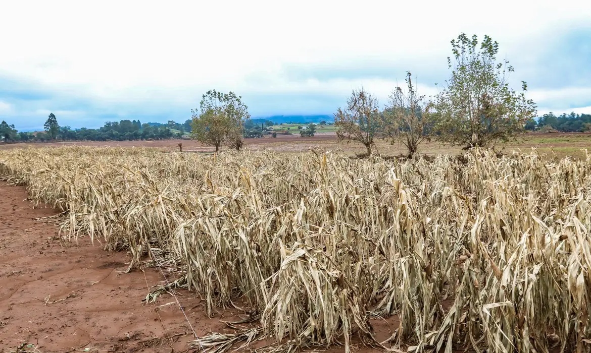 Governo bloqueia 42% do orçamento para seguro rural e ameaça cobertura de milhões de hectares