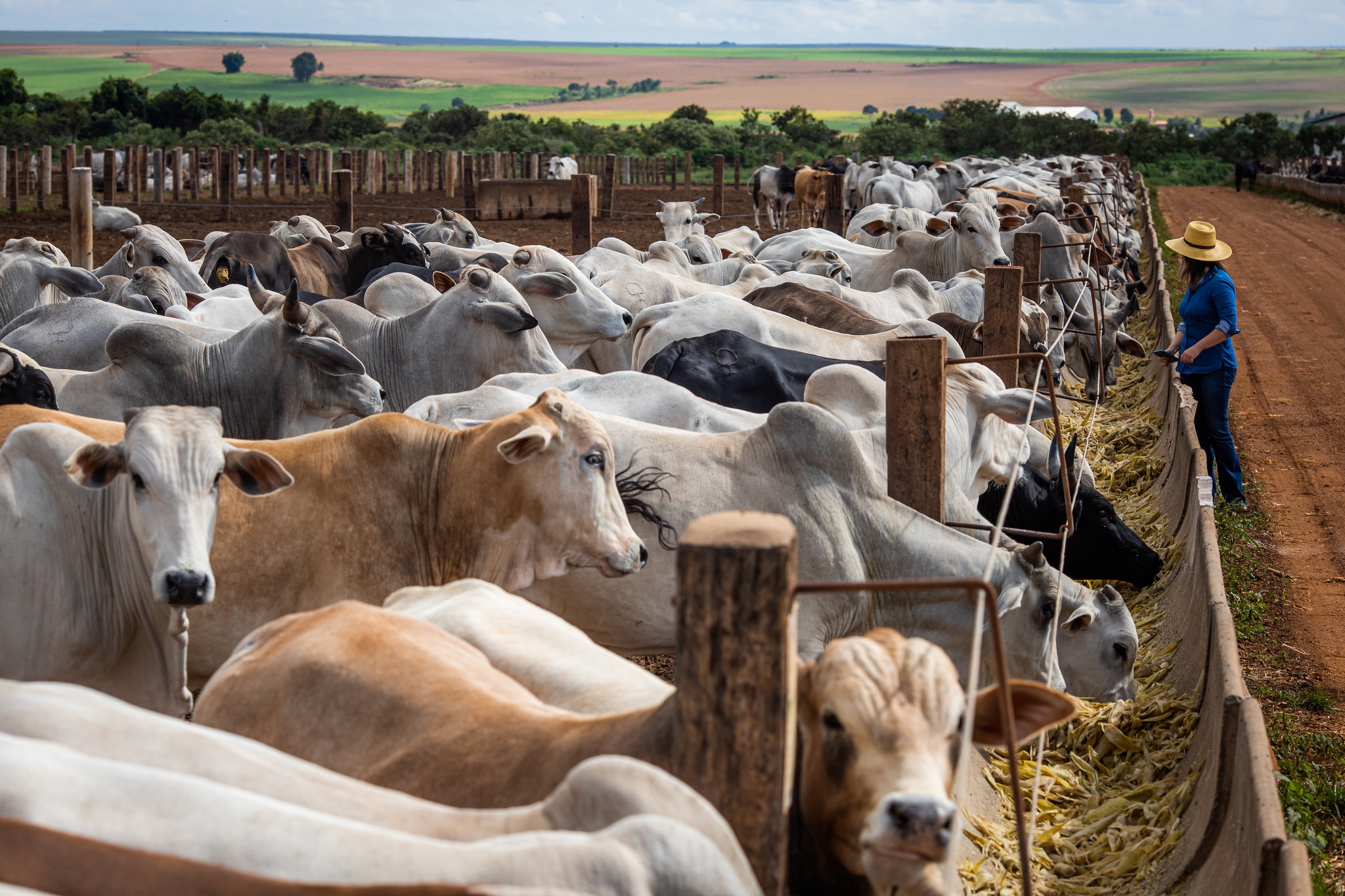 L'agroalimentaire fait face à une vague de défauts de paiement et d'insolvabilité qui devrait s'accroître avec la menace américaine