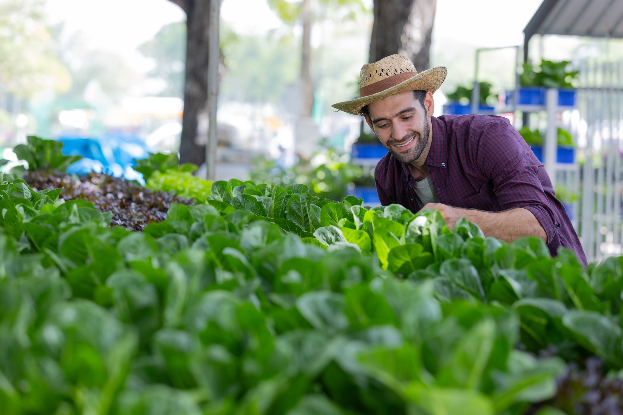 Idées d'entreprises innovantes en agriculture biologique pour les entrepreneurs durables