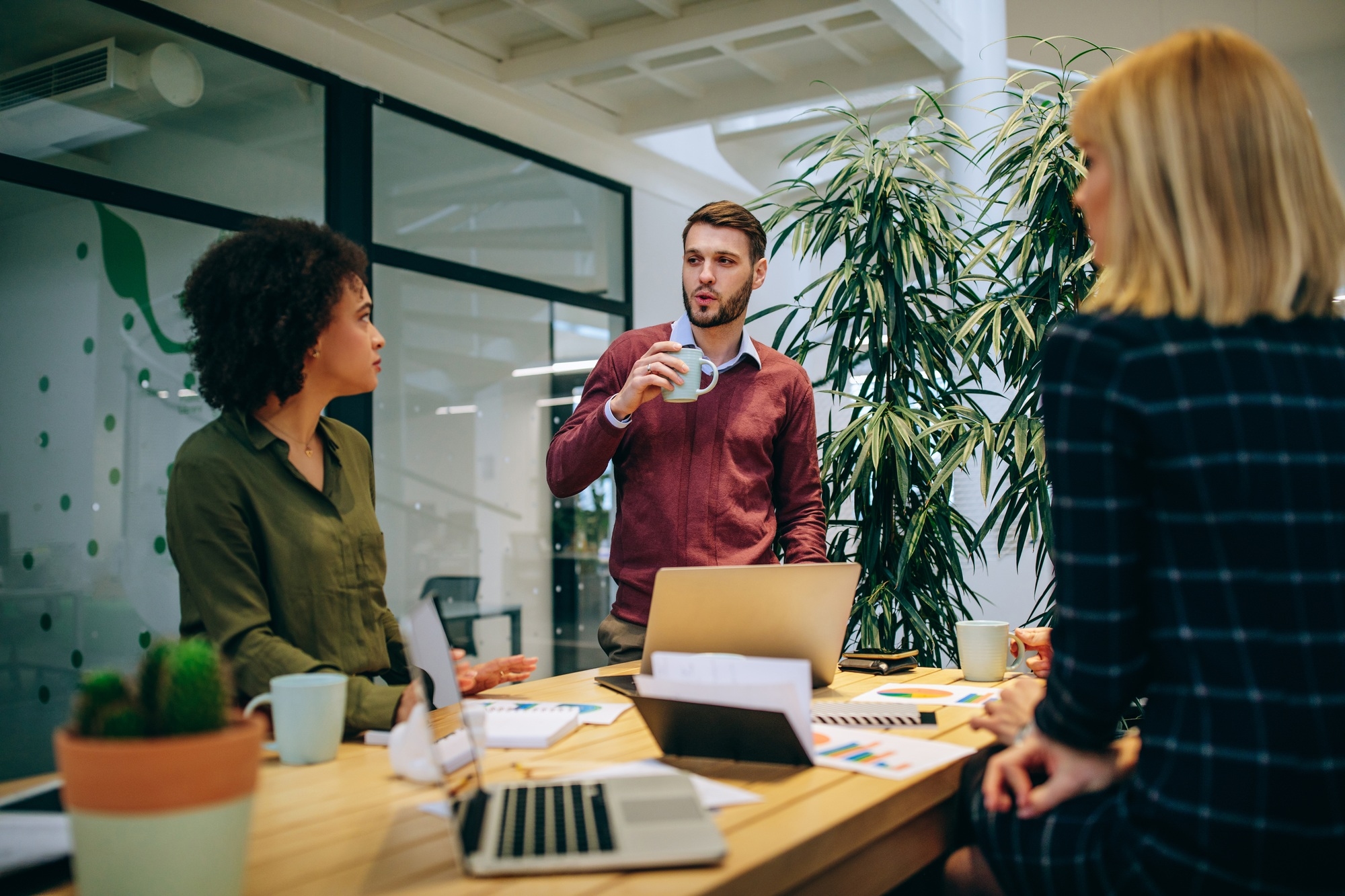¿Qué es un plan de desarrollo del desempeño y su importancia?
