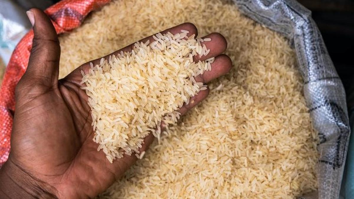 Global warming: will rice become a dangerous food?