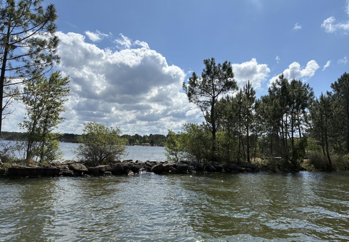 Guided walk in Biscarrosse: between well-being and local botany in the Landes