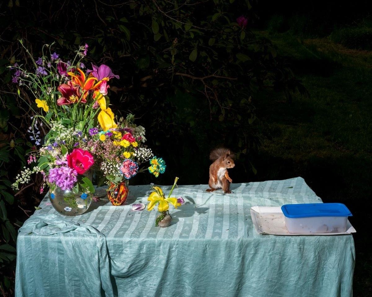 Bordeaux : les animaux se mettent à table sous l’œil de la photographe Lia Darjes