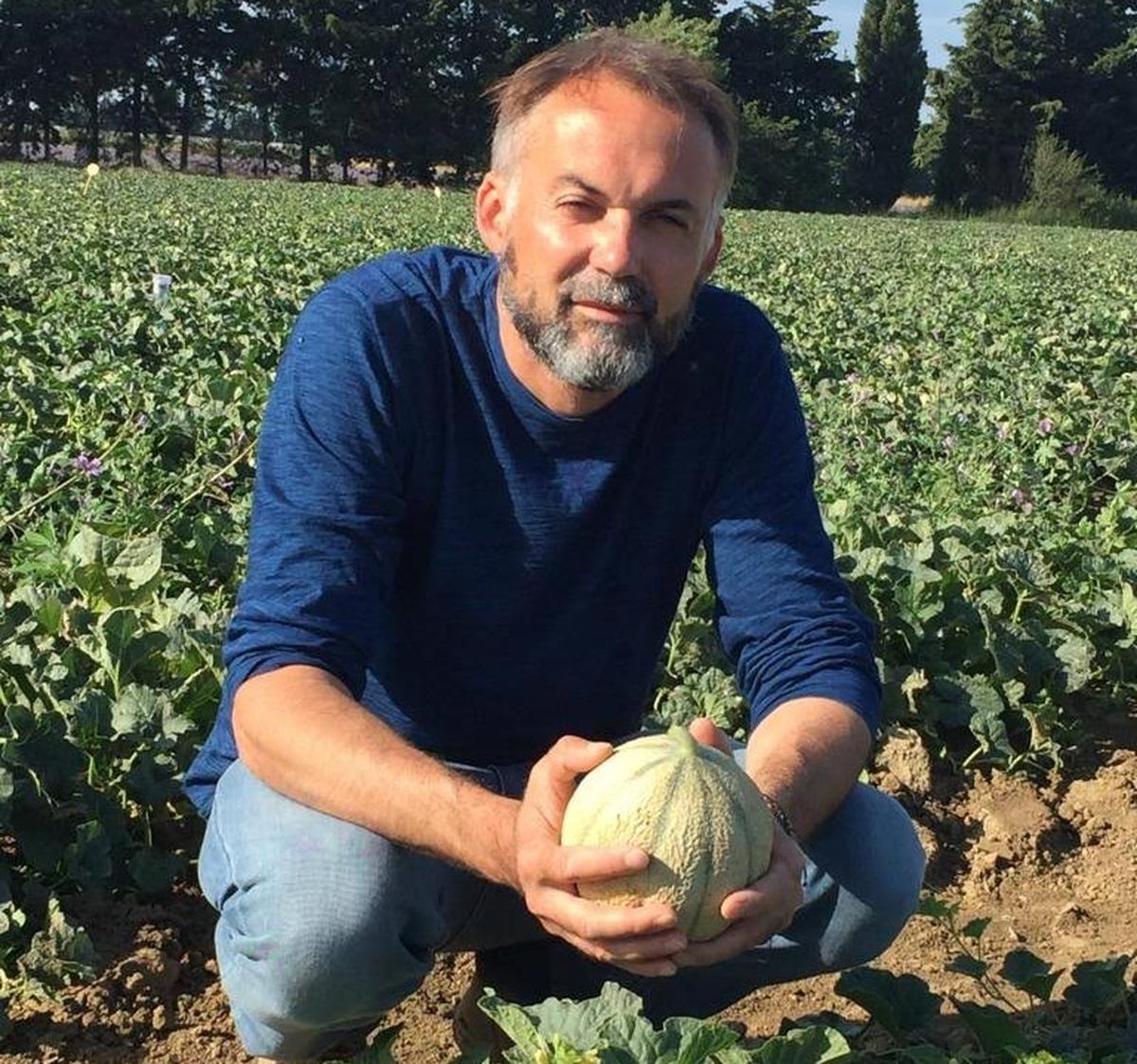Tras el fin de Soldive, una de las cunas del melón de Charentais renace en el Domaine des Brandes en Semussac.