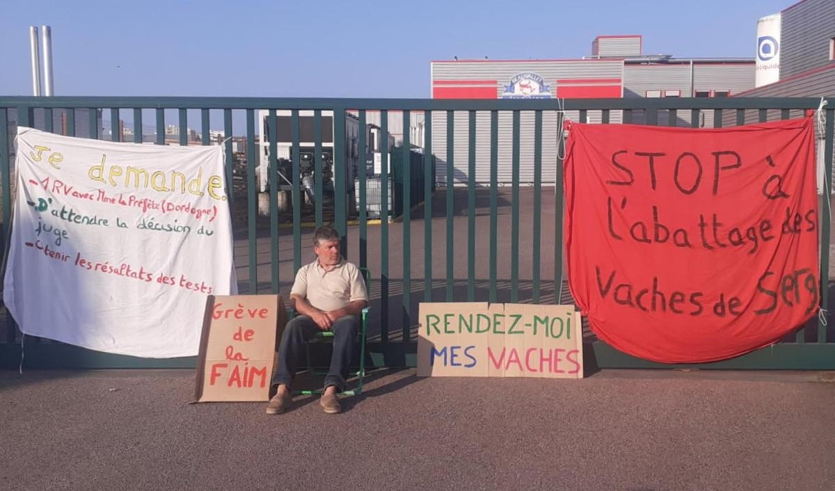 Dordogne: Aby zapobiec ubojowi swoich krów, rozpoczyna strajk głodowy