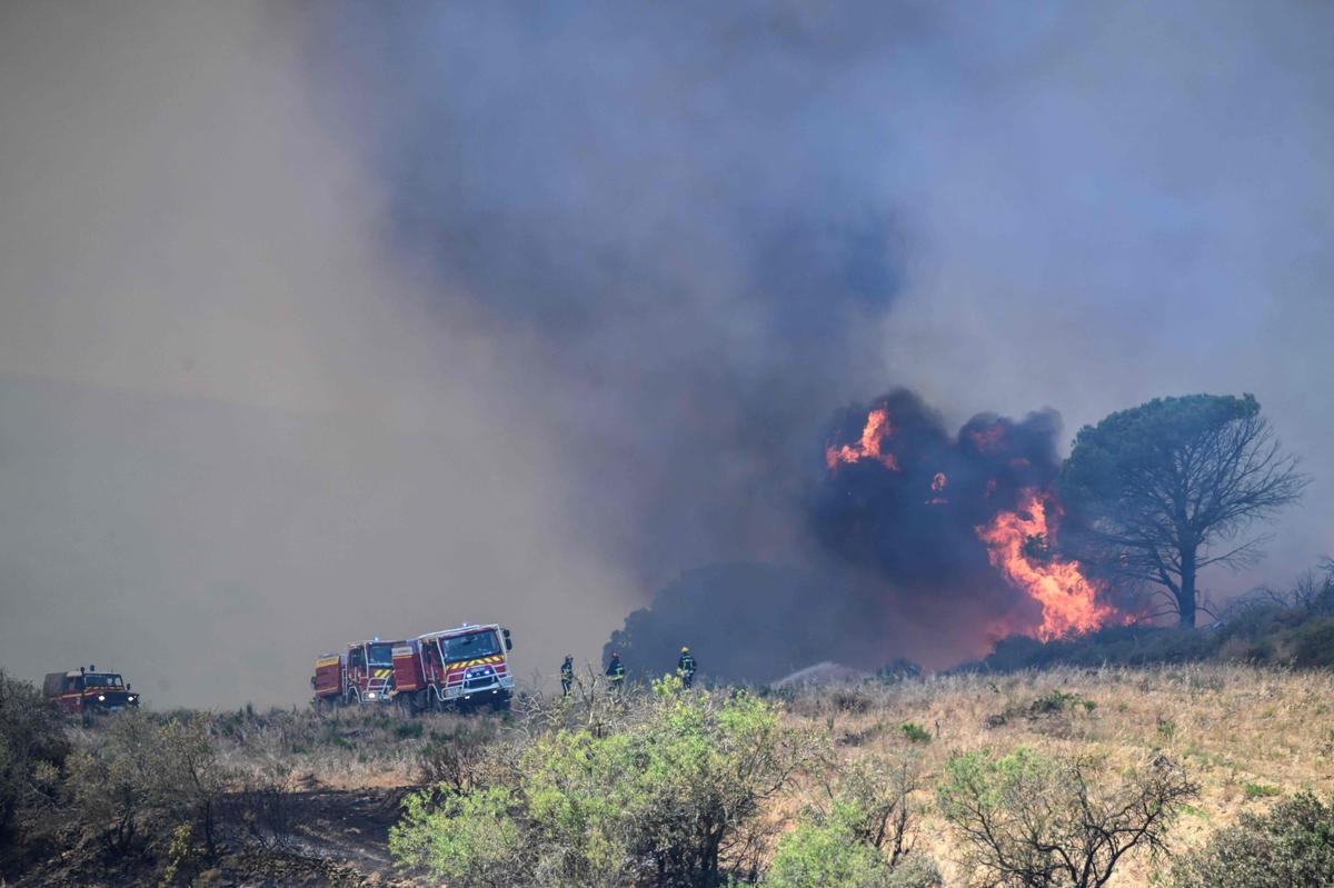 "Major" fire near Marseille: 100 hectares ravaged and 150 people evacuated this Saturday