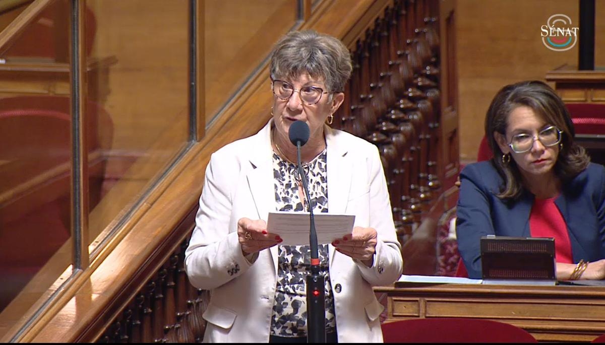 Train station ticket offices threatened with closure: Dordogne senator speaks out