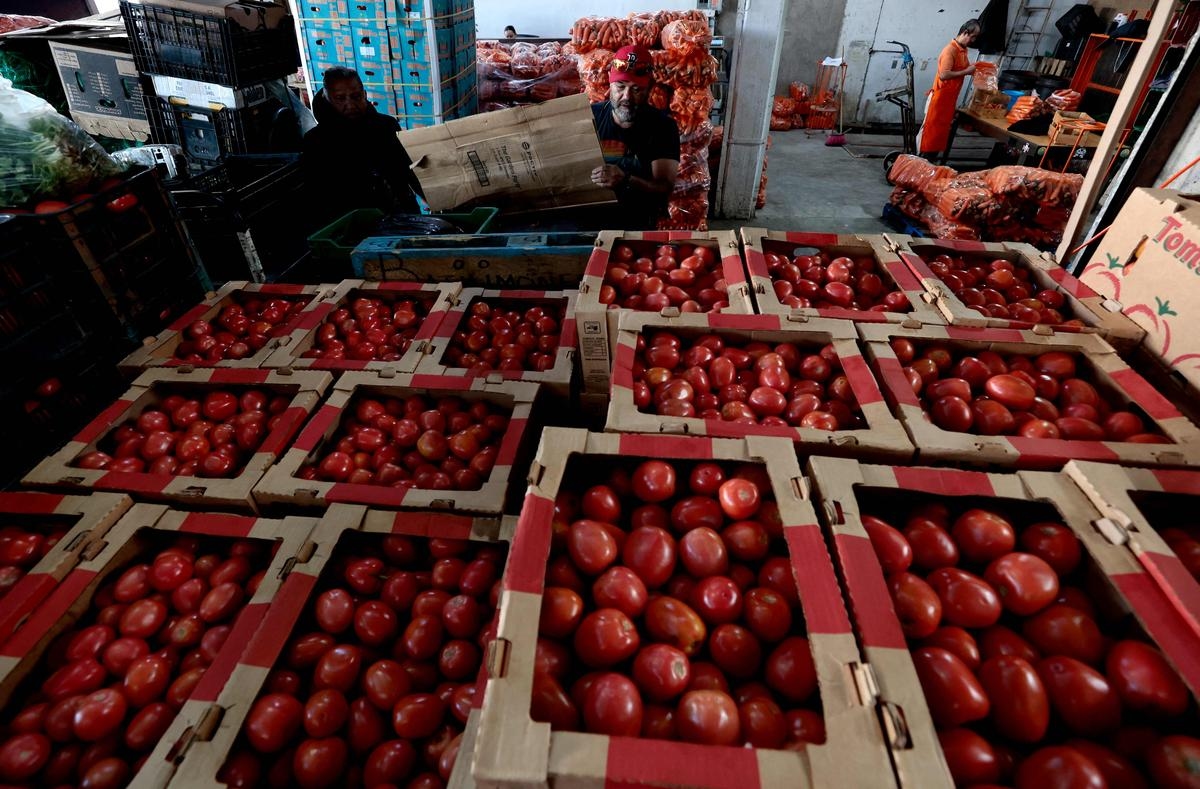 17 % Zoll auf mexikanische Tomaten, die 90 % des US-Verbrauchs ausmachen