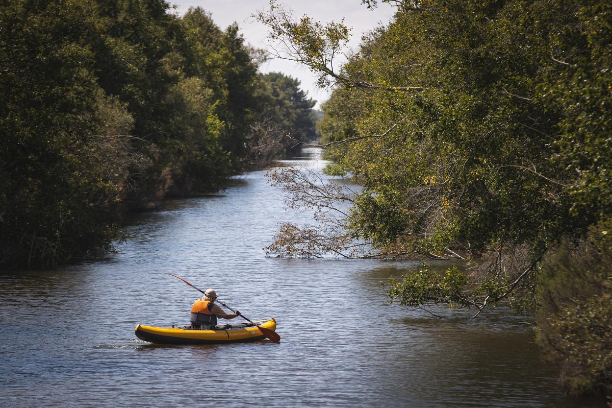 Gironde'deki Canal des Étangs yolunda (2/6): iki göl arasında, medeniyetten uzak bir yürüyüş