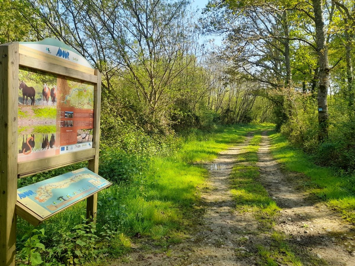 Te voet of met de mountainbike kunt u het Adour-pad verkennen tussen Dax en Grenade-sur-l'Adour