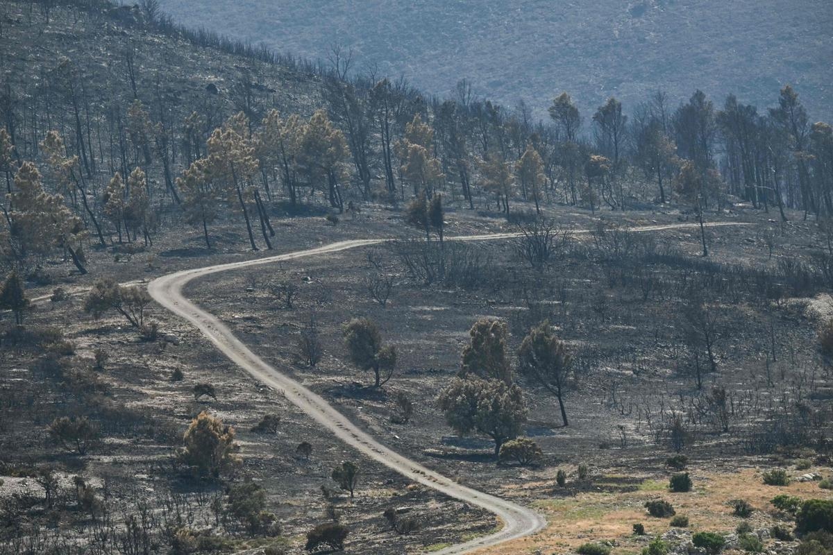 Velocidad, resultados, origen... Lo que sabemos del histórico incendio de Aude