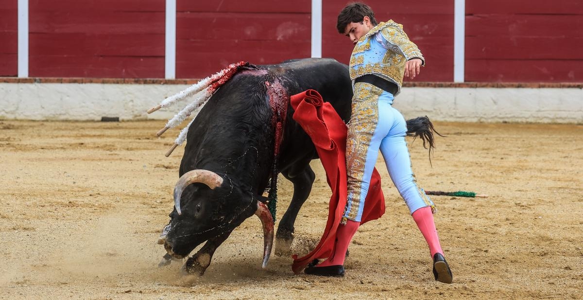 Feria de Dax 2025: Aaron Palacio, como un gallo de pelea