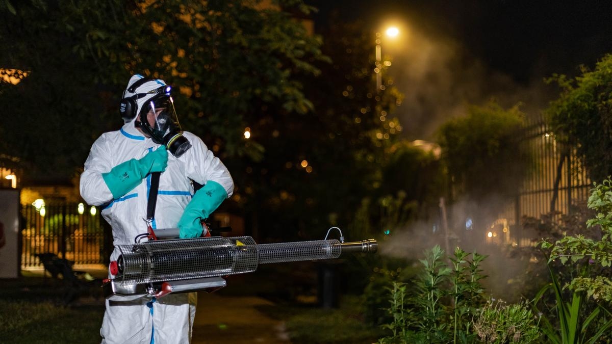 Chikungunya in Bergerac: nieuwe muggenbestrijdingsoperatie gepland voor vanavond