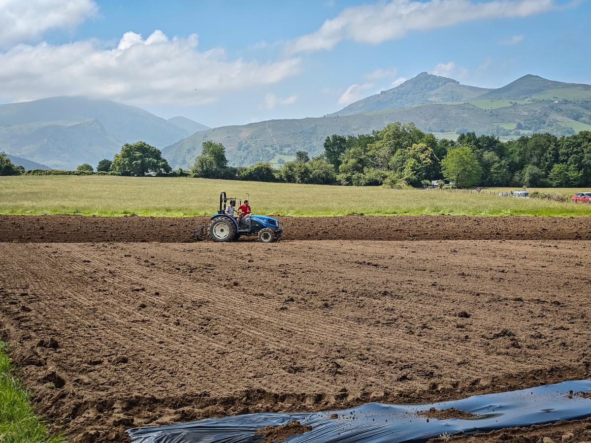 Baskenland: oppositie roept op tot moratorium op vastgoedprojecten in Cambo