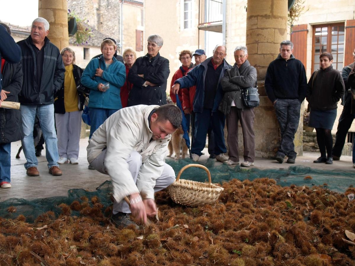 Craché de châtaignes, dégustations, expositions : ce fruit d’automne fêté en Dordogne