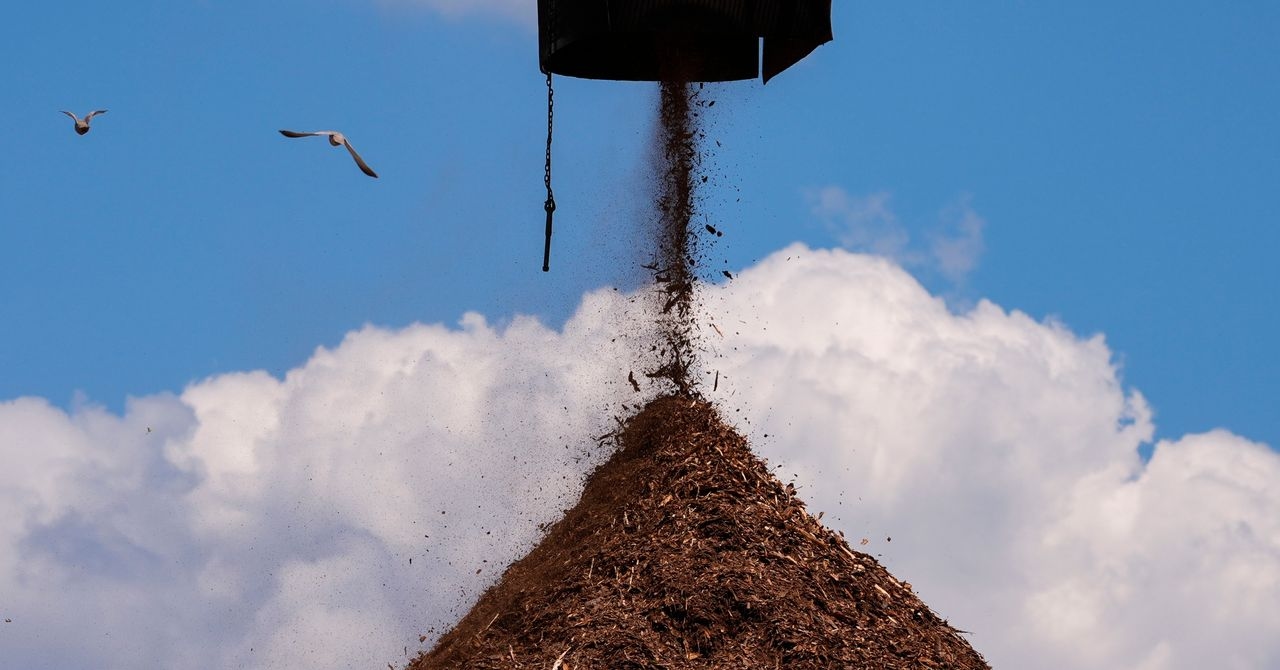 Fábricas de pellets de madeira são propensas a incêndios. Por que construí-las na Califórnia?