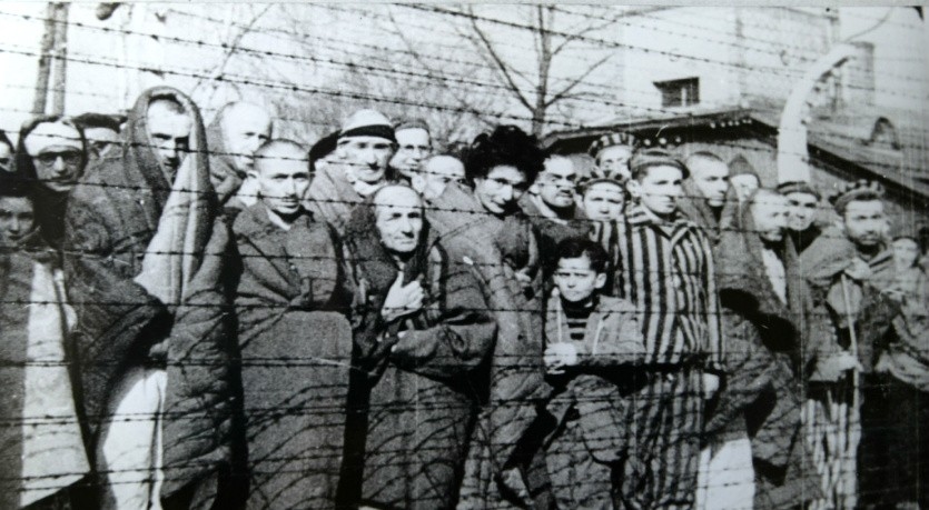 Auschwitz Museum criticises Musk’s AI for adding dreadlocks to Holocaust victim