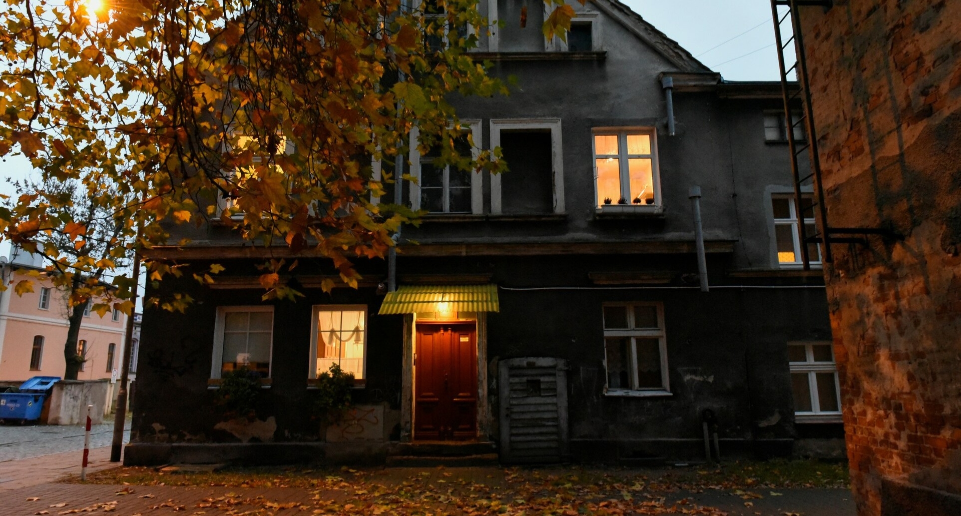 Польша продлит заморозку цен на электроэнергию до конца года