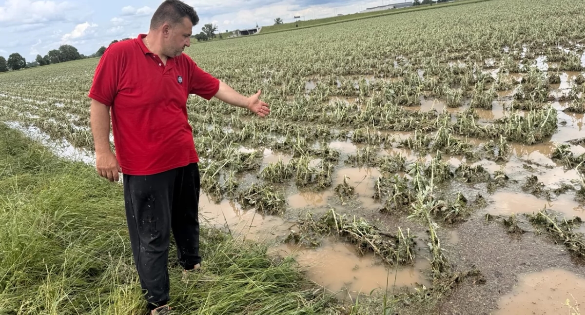 10 minutes of terror and massive destruction. Farmers are devastated