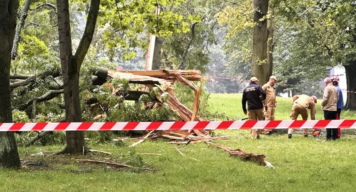 Quem é o responsável pelo trágico acidente no Parque Kaczyński? Mais um episódio do julgamento