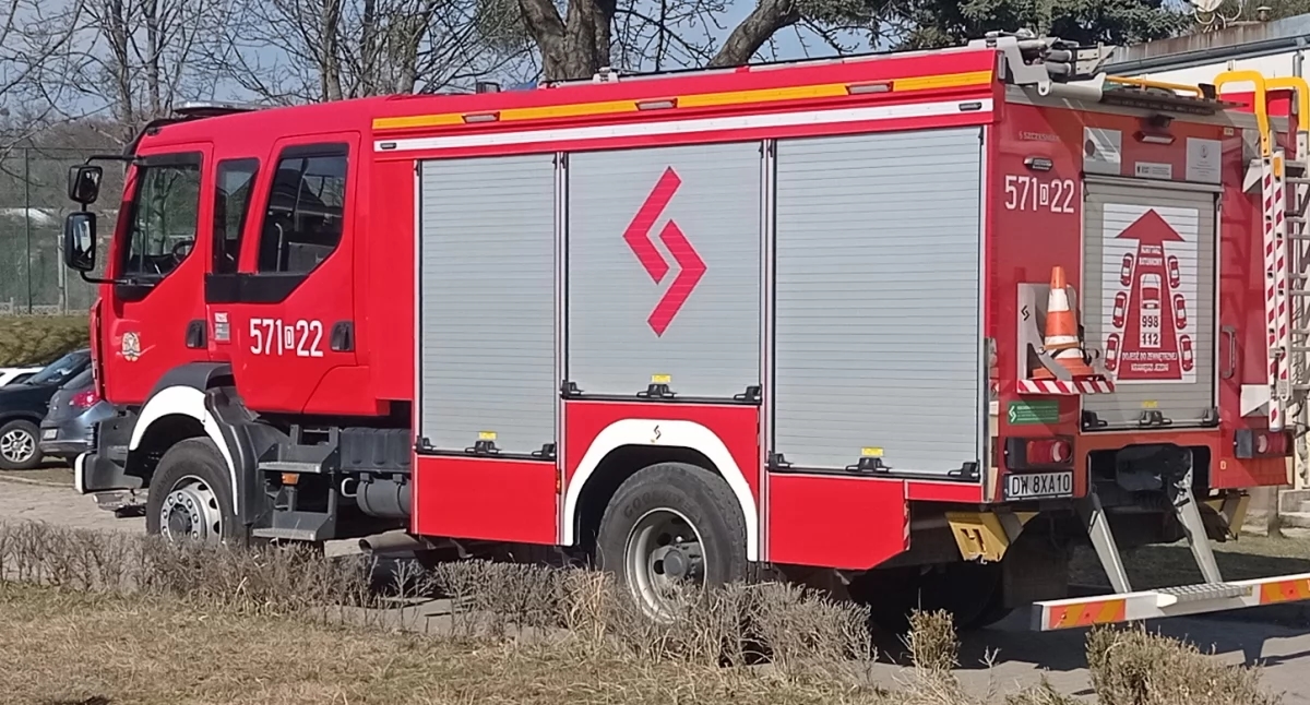 Пожар внутри старого ствола дерева