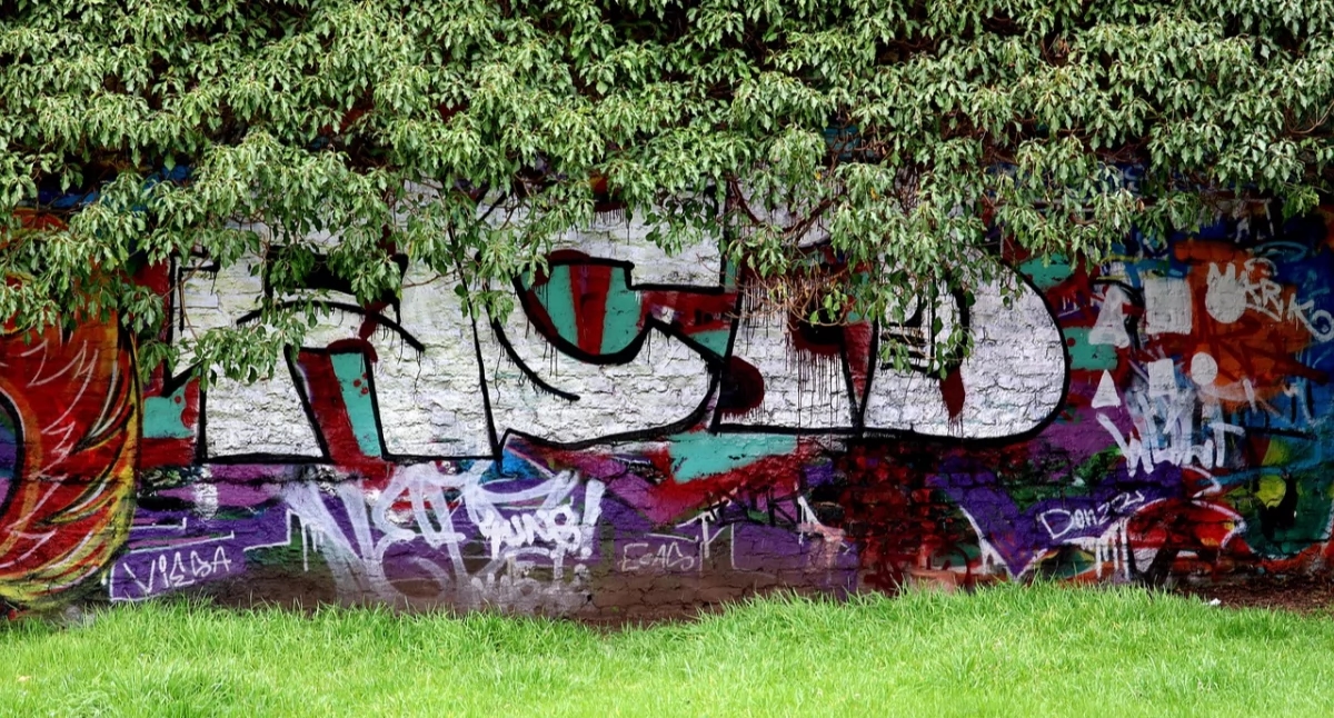 Dal grigio al verde: sviluppo completo degli spazi urbani con "Terra Group"