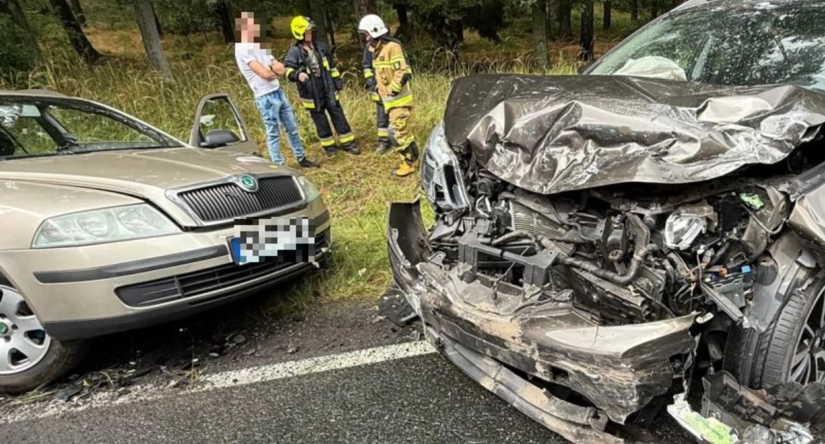 Serious accident. Three people injured, dog killed.