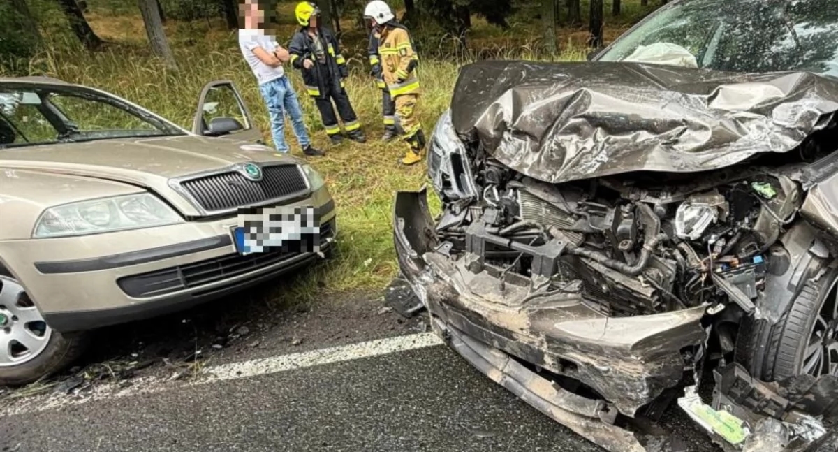 Een hond lag dood in de kofferbak. Hoe vervoer je een huisdier in een auto?
