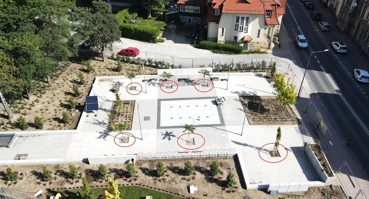 Hoeveel heeft de gemeente betaald voor de planten bij de fontein? ERGO reageert
