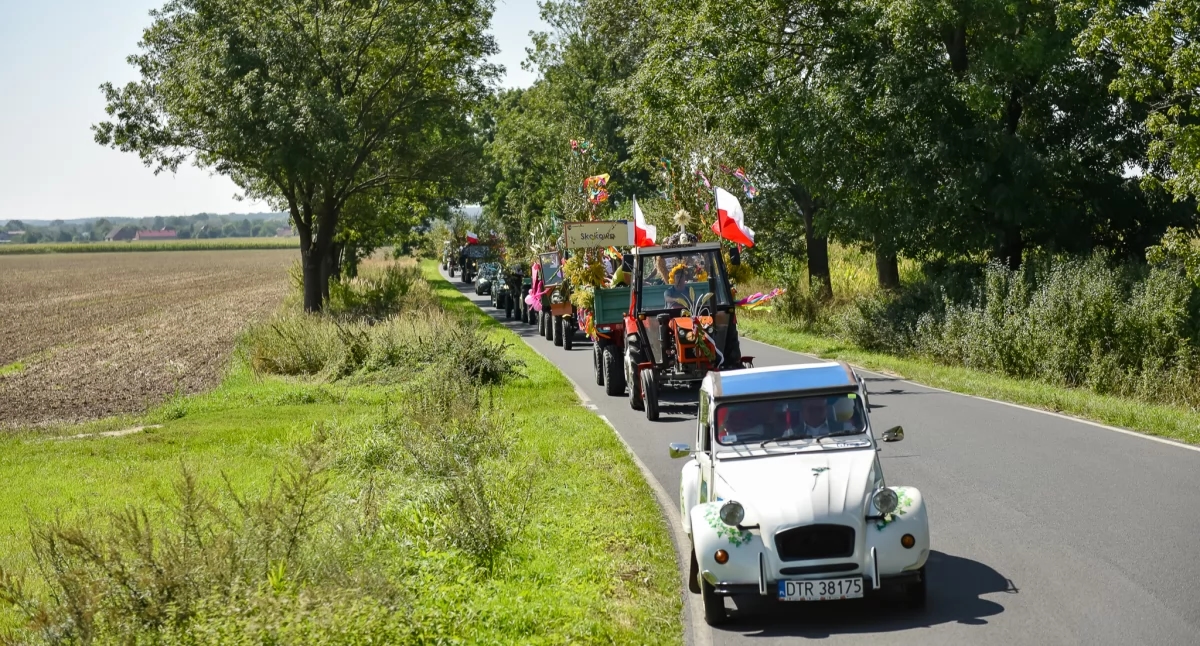 Oogstfeest van de gemeente Prusice in Piotrkowice: rijk programma en vele attracties!