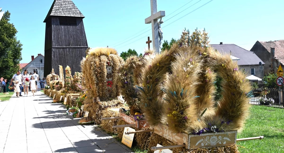 Festa del raccolto del Comune di Wisznia Mała - festa a Ozorowice