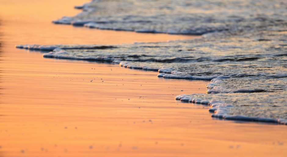 She walked along the Baltic Sea and found a treasure worth 35 million