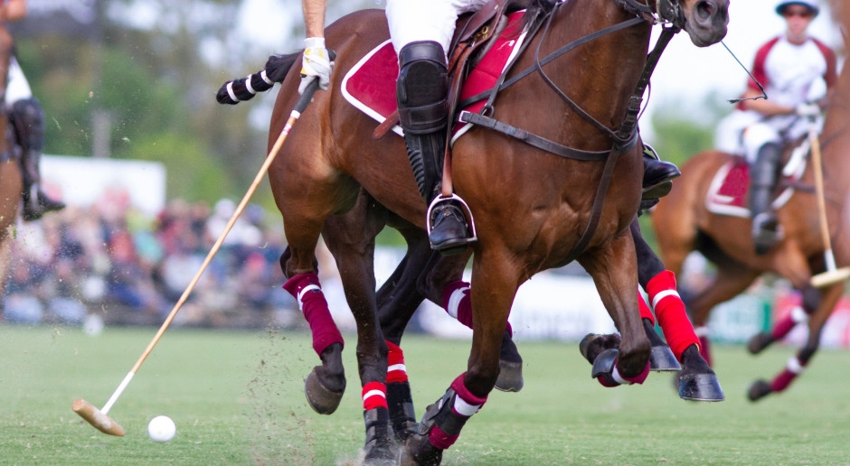 Morte trágica de um dos homens mais ricos do mundo em uma partida de polo. Ele era amigo do Príncipe William