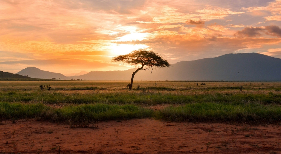 Niet de Malediven, niet Parijs. Het beste hotel ter wereld van 2025 ligt in het hart van Afrika.