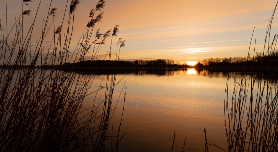 Een ongelooflijke vondst bij Gniezno. Wat is het houten gezicht dat onder water is gevonden?