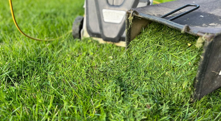 500 PLN fine for mown grass. Property owners may be exposed